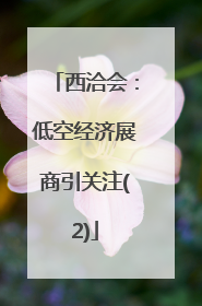 西洽会：低空经济展商引关注(2)